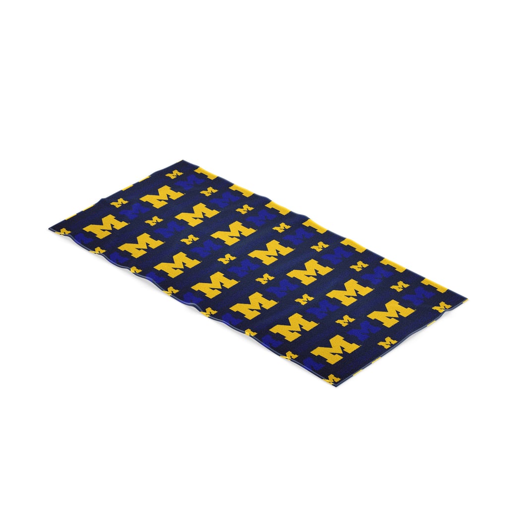 Michigan Wolverines Pegasus 40" x 72" Microfiber Beach Towel