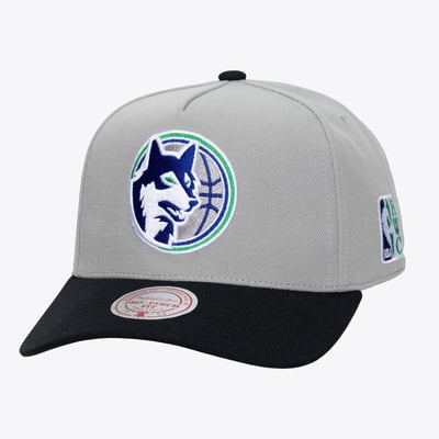  Minnesota Timberwolves Mitchell & Ness Legendary Home Pro Pinch Snapback Hat - Gray