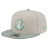 Snapbacks
