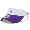 Visors