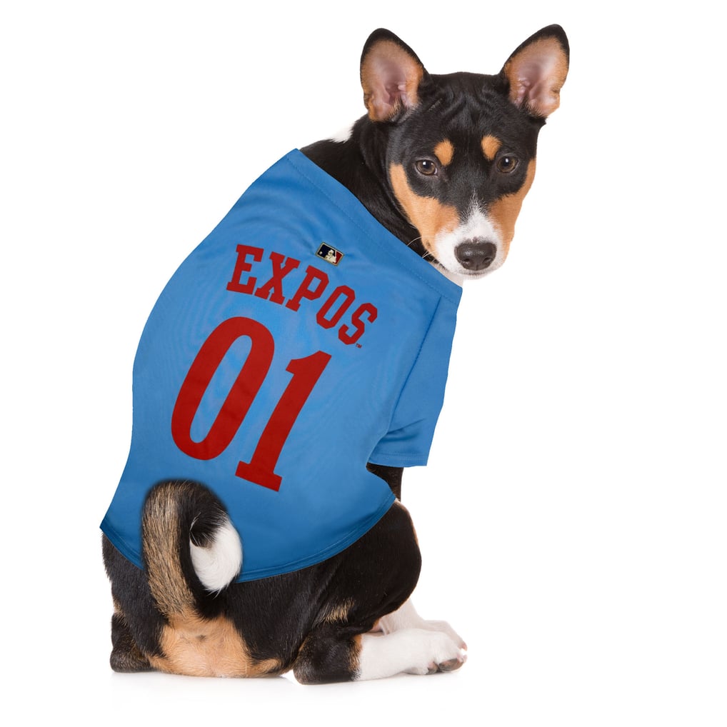 Montreal Expos Throwback Pet Jersey