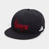 Snapbacks