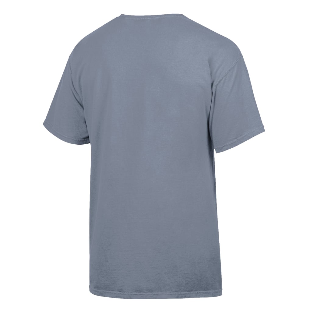 Nevada Wolf Pack ComfortWash Logo Over Stacked T-Shirt - Gray