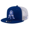 Snapbacks