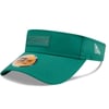 Visors