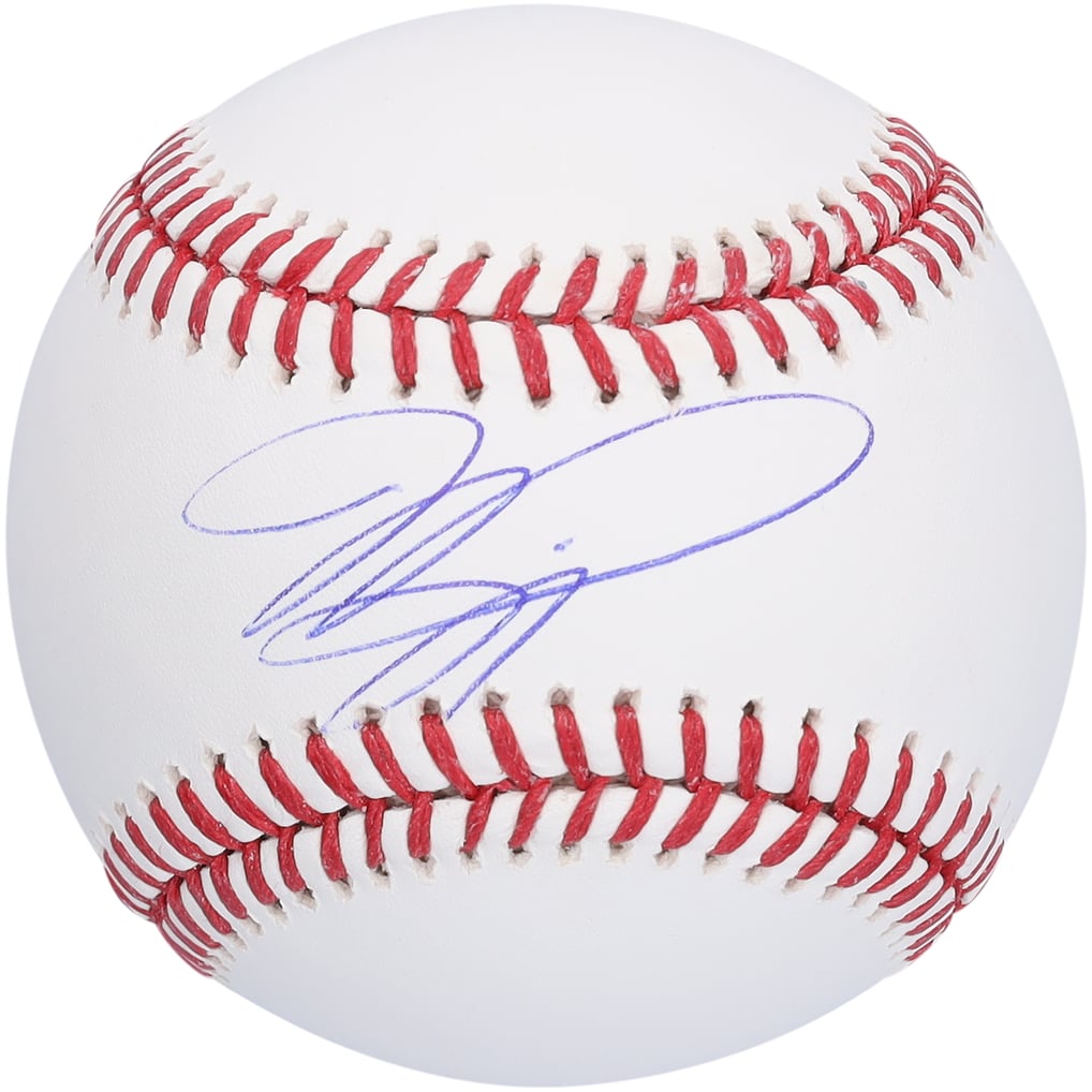 Mike Piazza New York Mets Fanatics Authentic Autographed Baseball