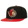 Snapbacks