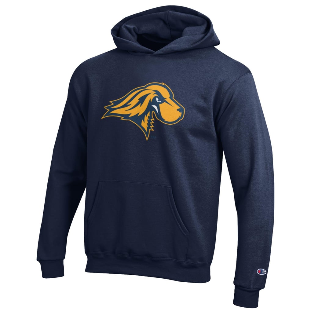 Pace University Setters Champion Youth Eco Powerblend Pullover Hoodie - Navy