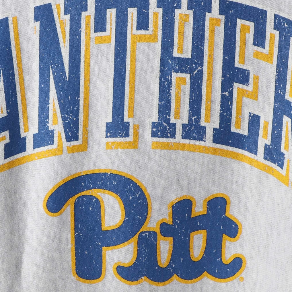 Pitt Panthers Champion Arch Over Logo Reverse Weave Pullover Sweatshirt - Gray