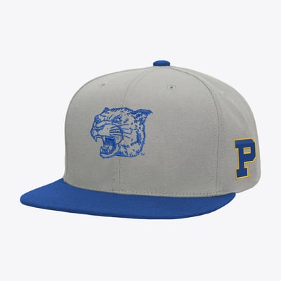  Pitt Panthers Mitchell & Ness Plaid OG Snapback Hat - Gray/Royal