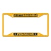 License Plate Frames