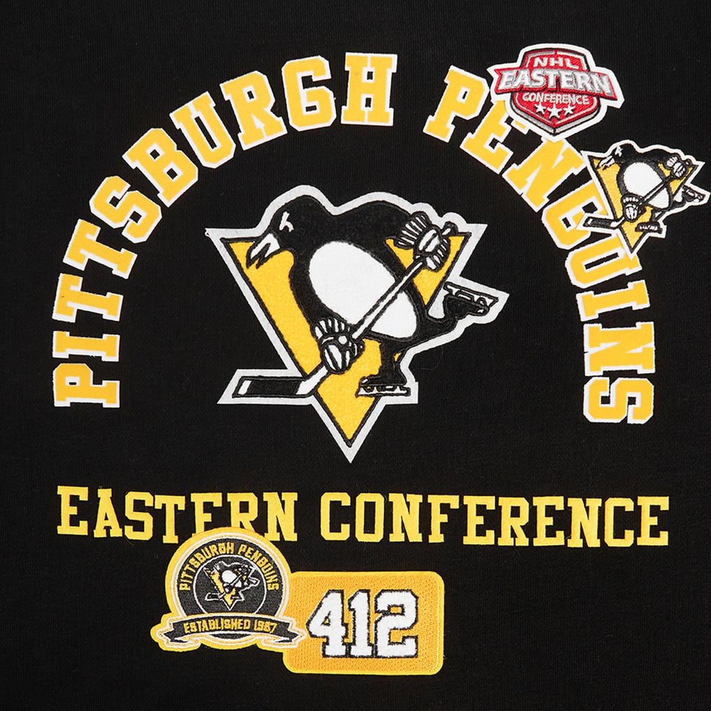  Pittsburgh Penguins Pro Standard Women's Area Code Cropped Pullover Sweatshirt - Black