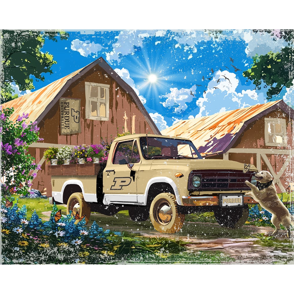 Purdue Boilermakers 12" x 11" Four Seasons LED Light Box