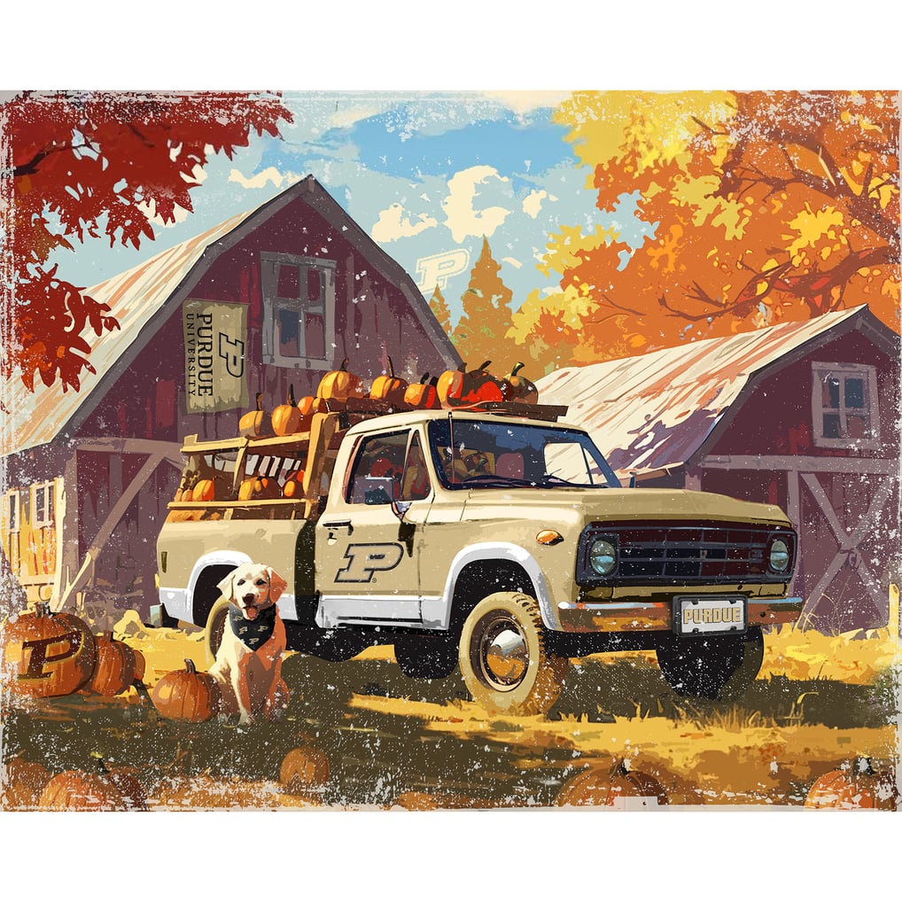 Purdue Boilermakers 12" x 11" Four Seasons LED Light Box