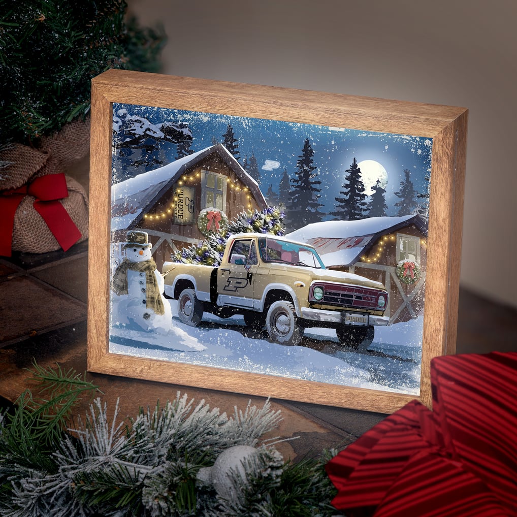 Purdue Boilermakers 12" x 11" Four Seasons LED Light Box