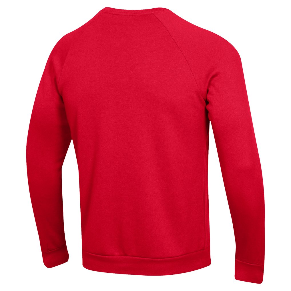 Saint Francis Red Flash Under Armour All Day Arch Softball Fleece Raglan Pullover Sweatshirt - Red