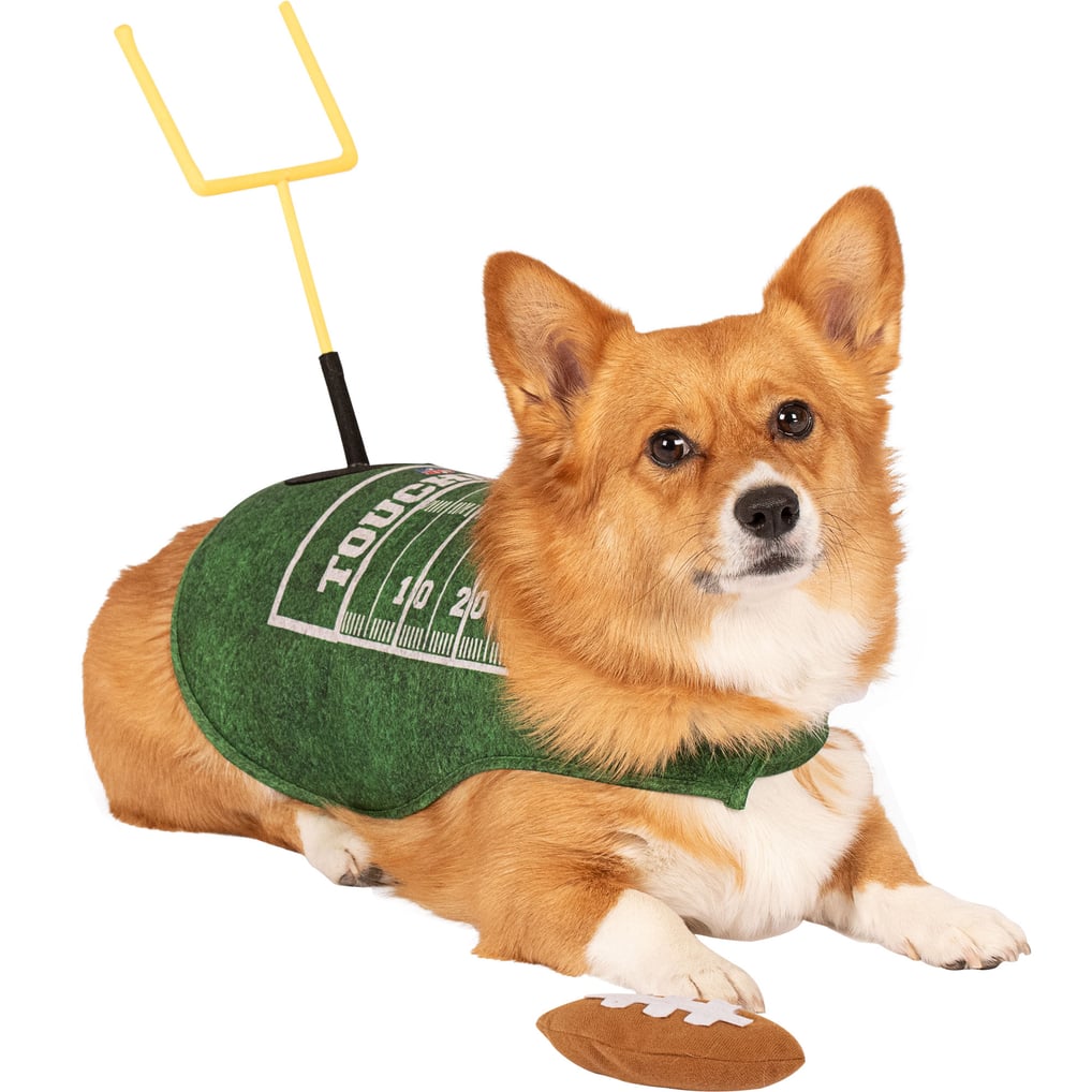 NFL Touchdown Dog Costume - Green