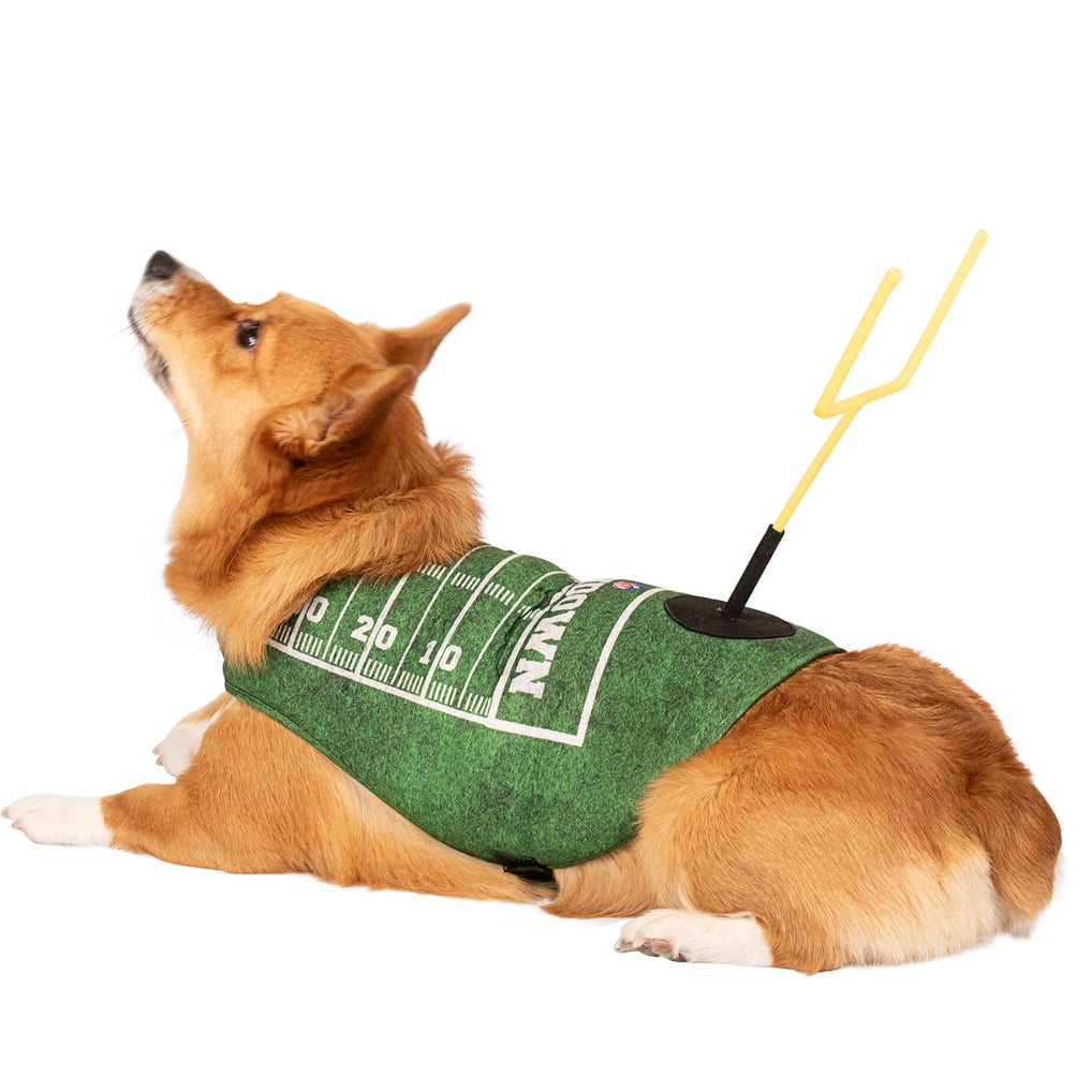 NFL Touchdown Dog Costume - Green