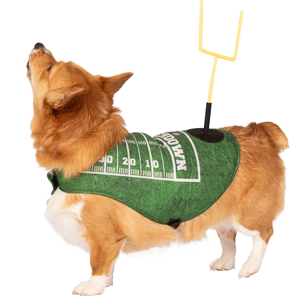 NFL Touchdown Dog Costume - Green