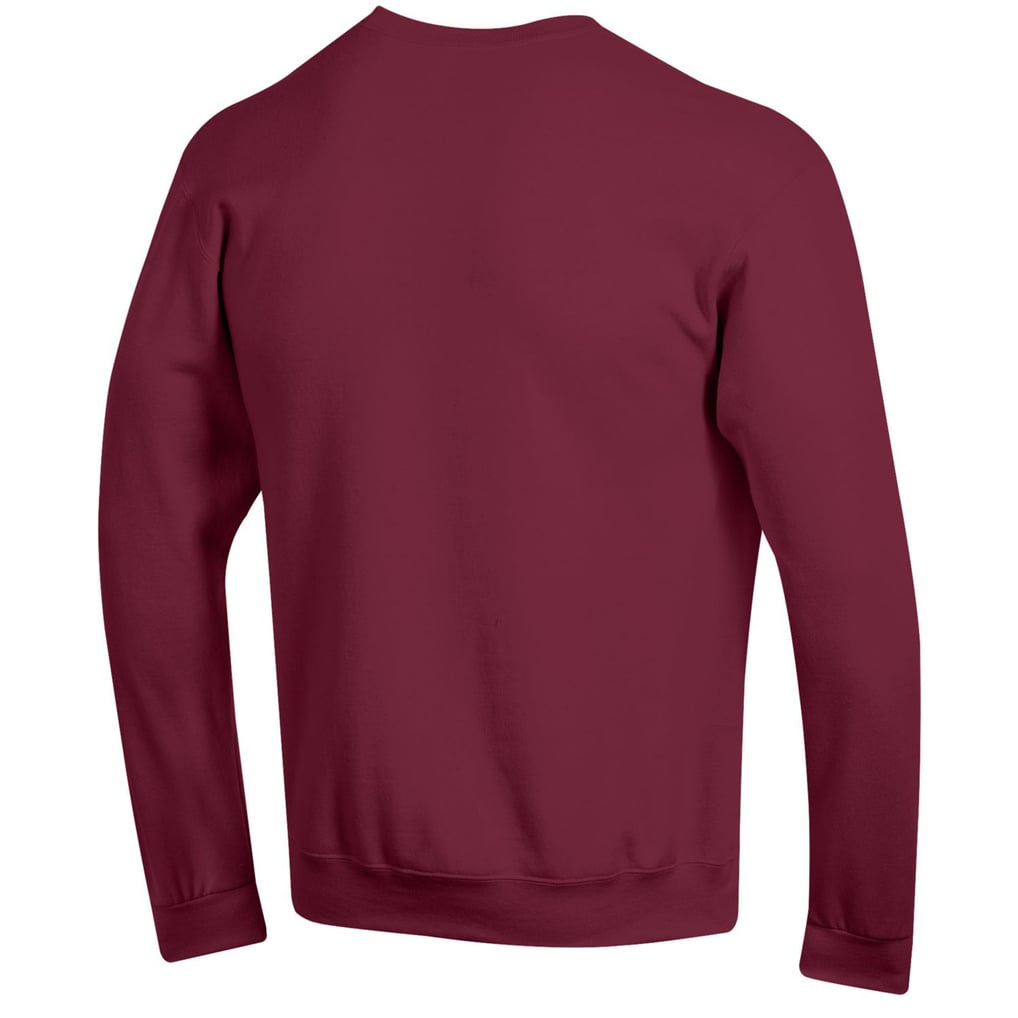  South Carolina Gamecocks Champion Basic Arch Fleece Pullover Sweatshirt - Garnet