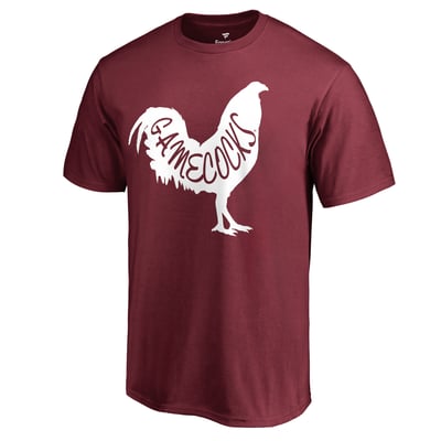 South Carolina Gamecocks DNA T-Shirt - Garnet