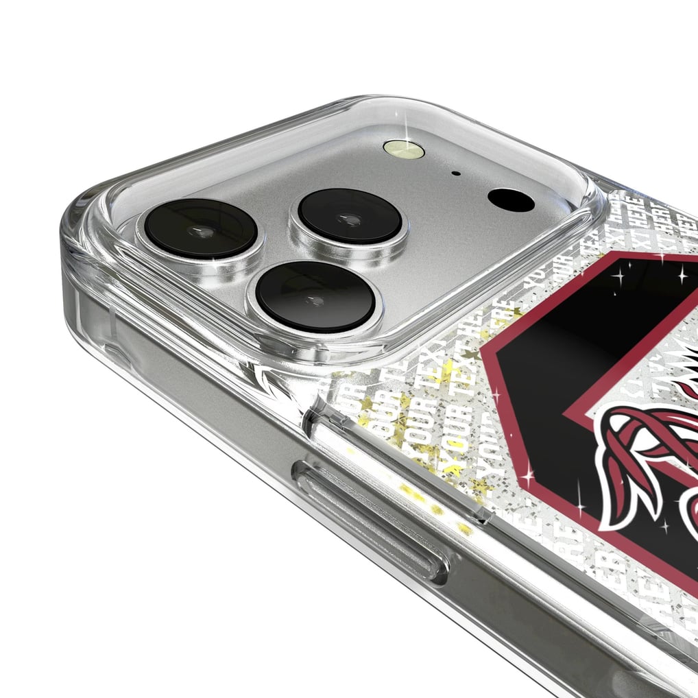 South Carolina Gamecocks iPhone Endzone Personalized Glitter Case
