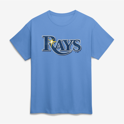 Tampa Bay Rays Logo Athletic Wordmark T-Shirt - Light Blue