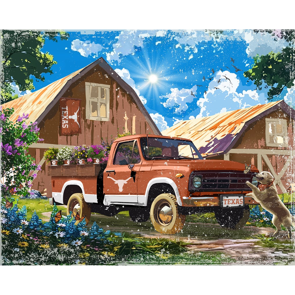 Texas Longhorns 12" x 11" Four Seasons LED Light Box