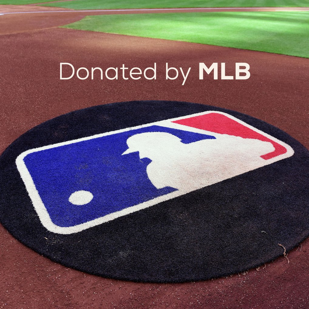 Throw Out The First Pitch At The Next World Series