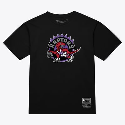  Toronto Raptors Mitchell & Ness Unisex Hardwood Classics Arch T-Shirt - Black
