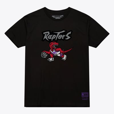  Toronto Raptors Mitchell & Ness Unisex Hardwood Classics Arch T-Shirt - Black