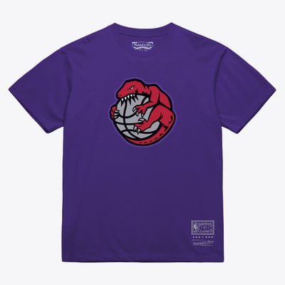  Toronto Raptors Mitchell & Ness Unisex Hardwood Classics Arch T-Shirt - Purple
