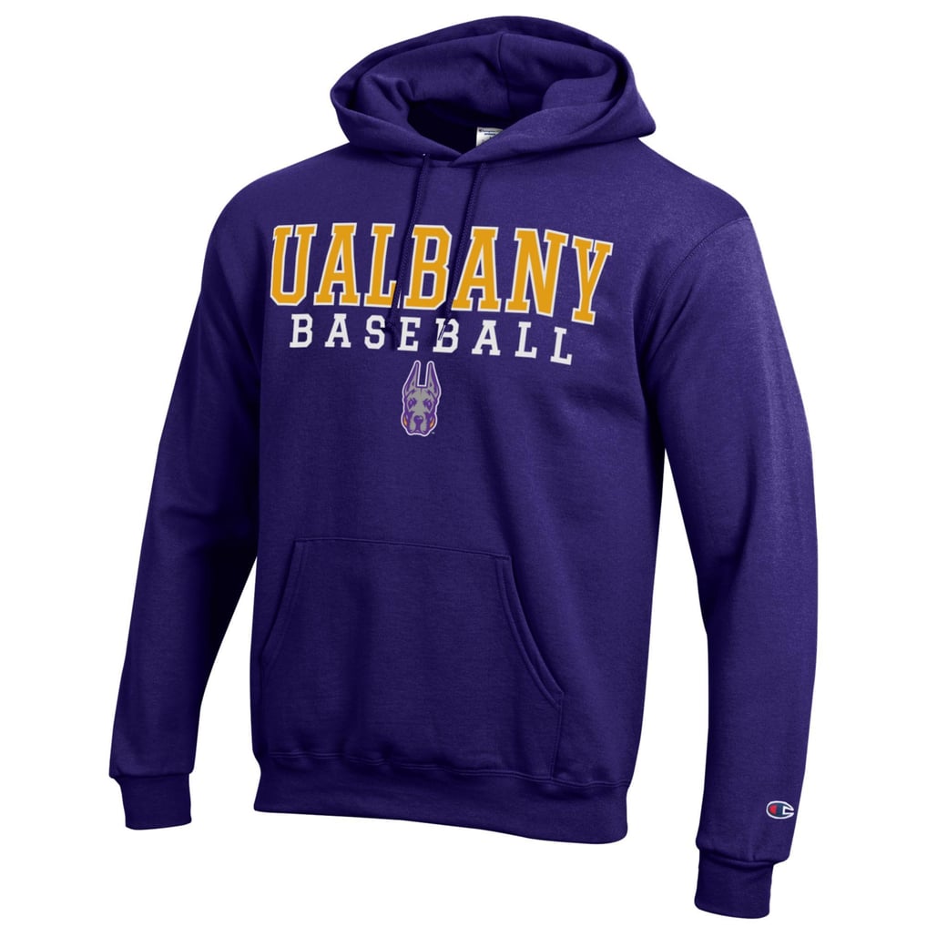 UAlbany Great Danes Champion Stack Baseball Powerblend Pullover Hoodie - Purple