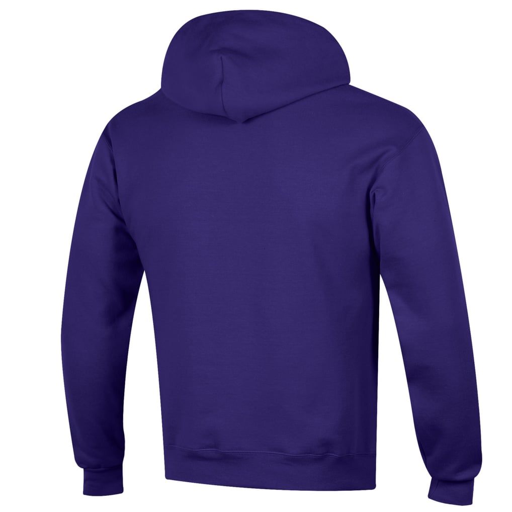  UAlbany Great Danes Champion Stack Baseball Powerblend Pullover Hoodie - Purple
