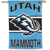 Flags & Banners
