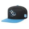 Snapbacks