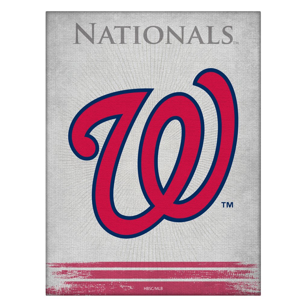 Washington Nationals 15" x 20" Splash Canvas Wall Art