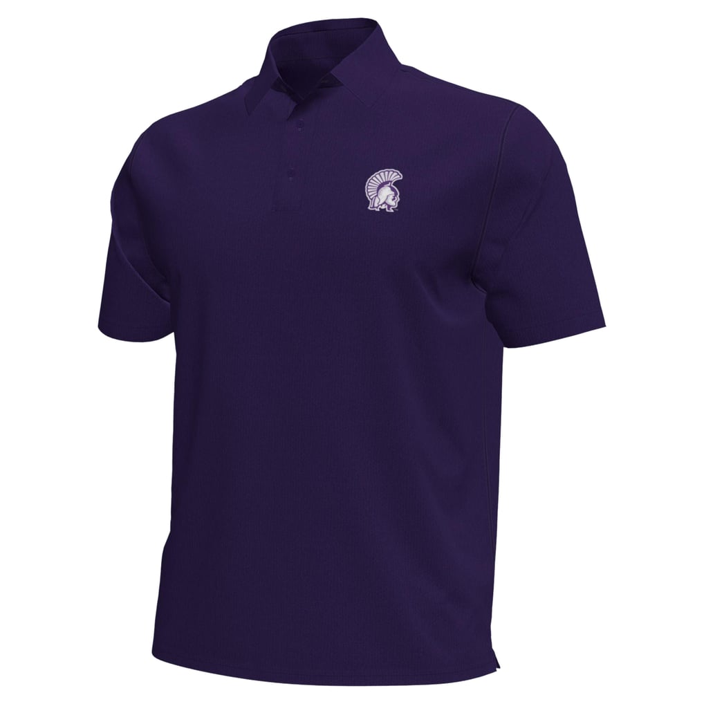 Winona State Warriors Under Armour  Aura Solid Polo - Purple
