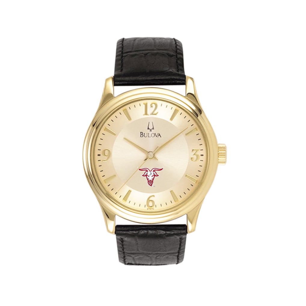 Worcester Polytechnic Institute Engineers Stainless Steel Watch with Leather Band - Gold
