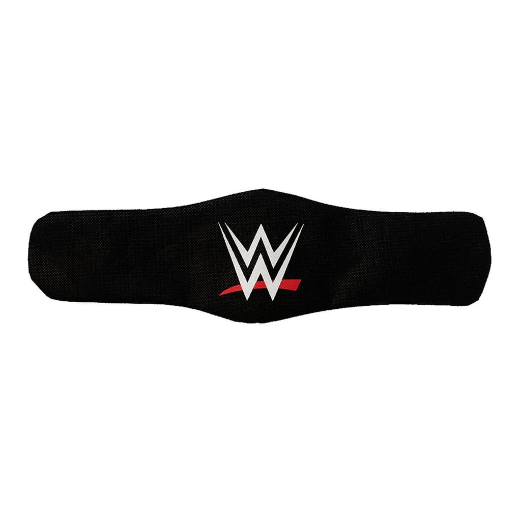 WWE Winged Eagle Championship Mini Replica Title Belt - Black