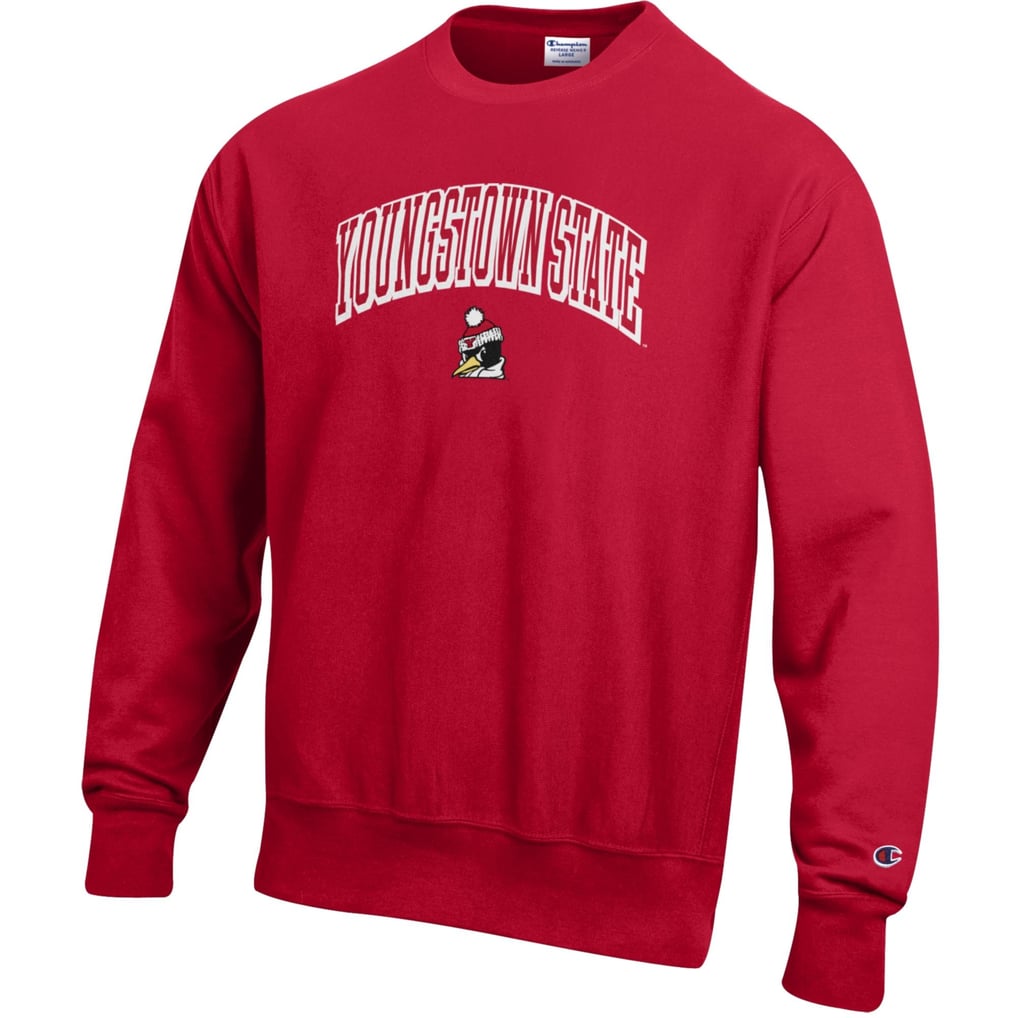 Youngstown State Penguins Champion Reverse Weave Sweatshirt - Gray