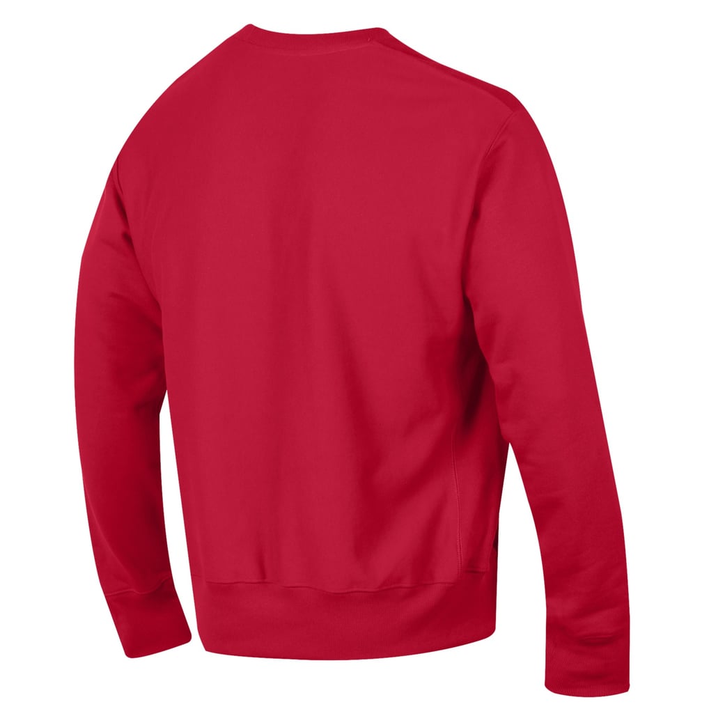 Youngstown State Penguins Champion Reverse Weave Sweatshirt - Gray